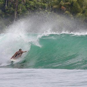 Meet your Posher, Will